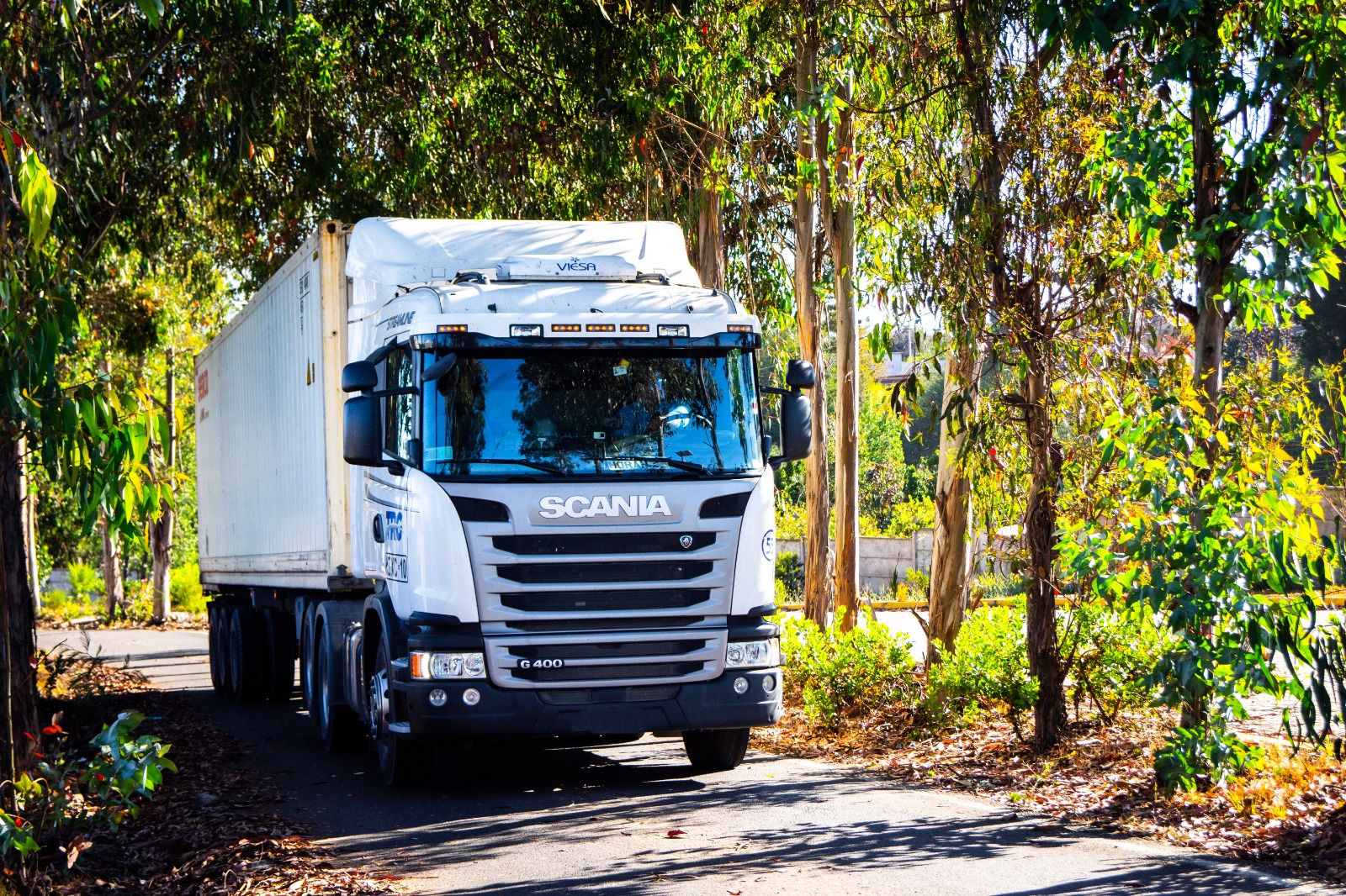 *Transporte* de contenedores refrigerados.